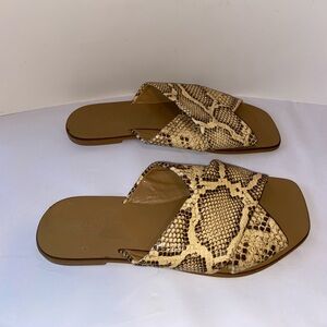 EVERLANE Crossover Day Slide Sandals in Snake print  Leather Sz 6.5 Women’s